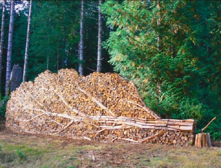 Wood Pile Tree.jpg